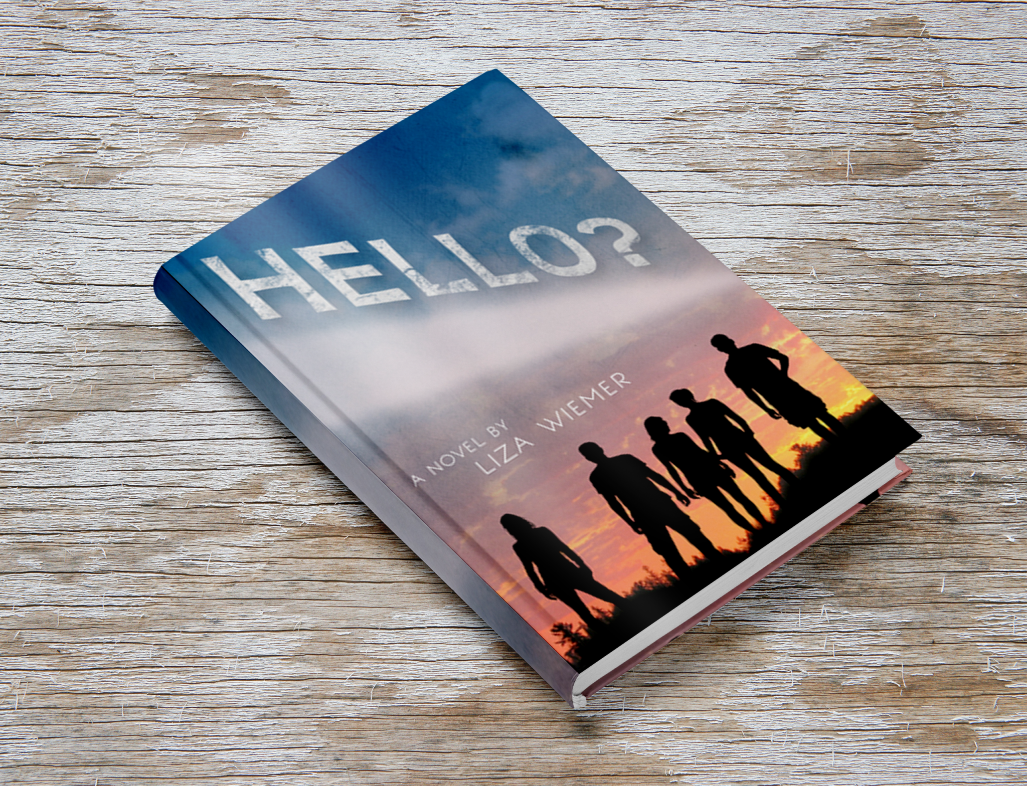 Interview: Liza Wiemer Author of Hello?