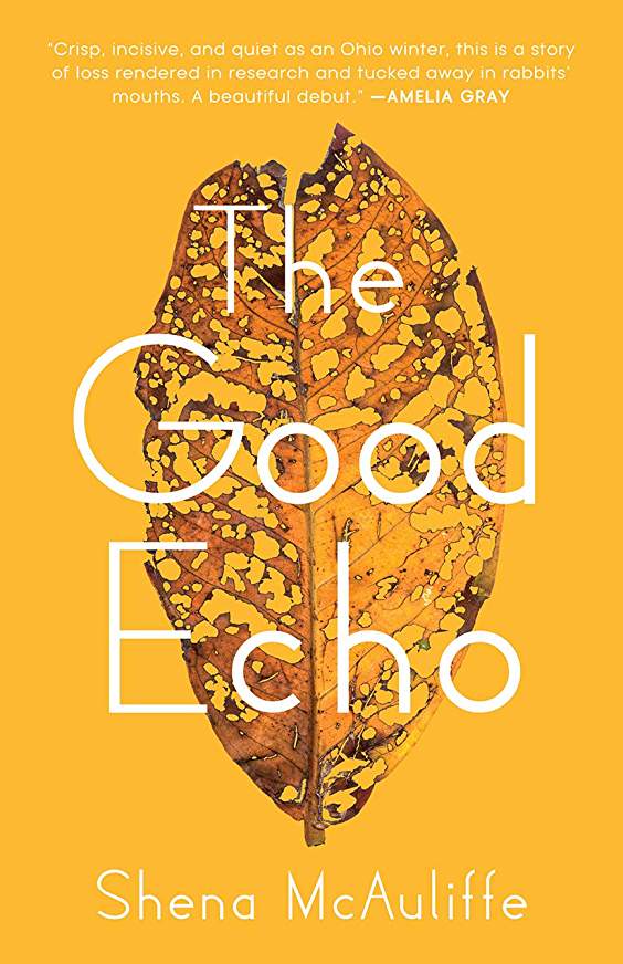 Excerpt: The Good Echo by Shena McAuliffe