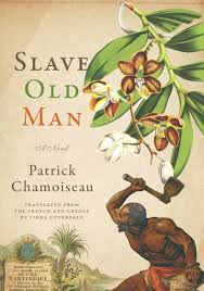 Recommended Reading: Slave Old Man
